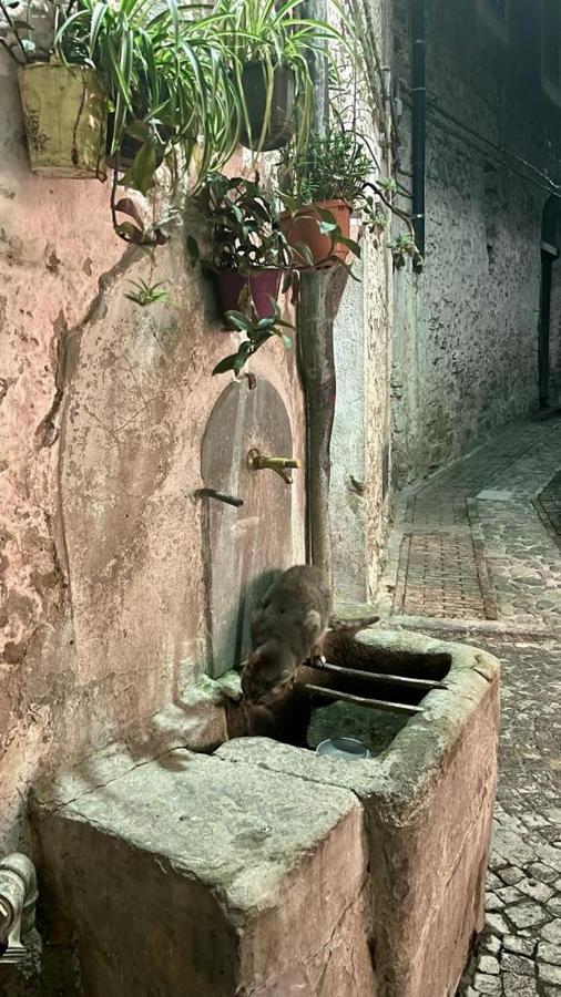 Le Petit Bijou Di Dolceacqua, Per Un Momento Romantico Exterior foto
